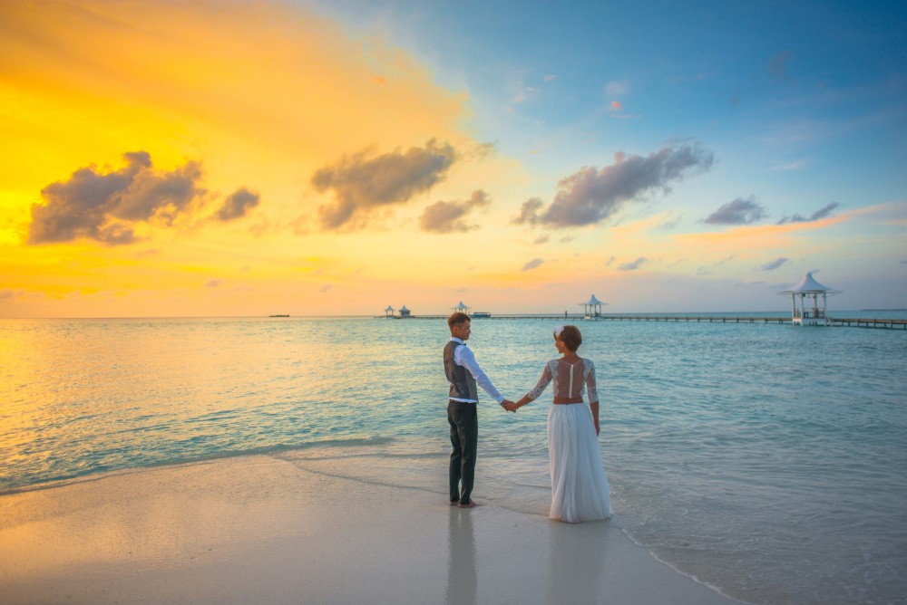 爱情事业亲情大比拼,为爱放弃它们幸福指数很低