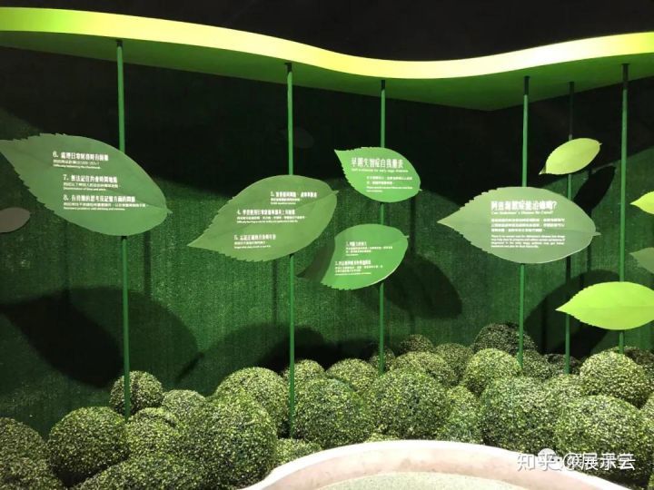 优秀的展馆都具备哪些基本要素?