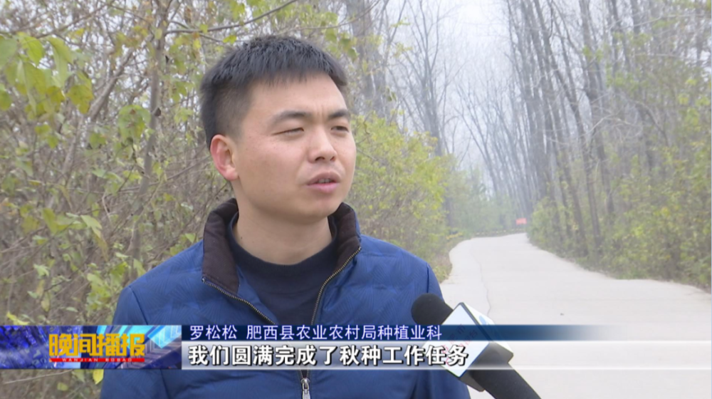 扎实推进灾后秋种冬小麦播种增加近一成