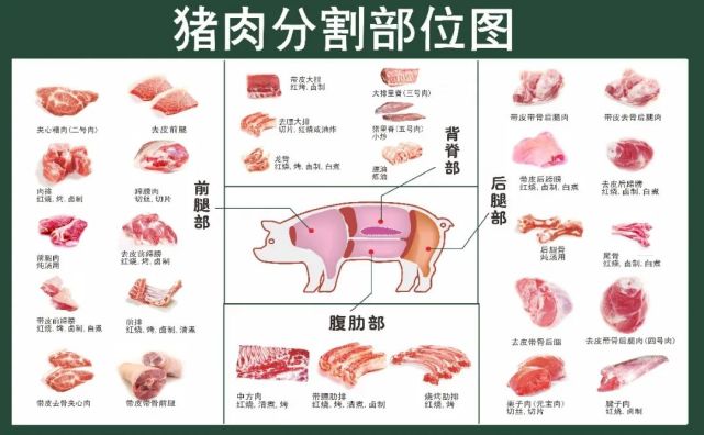 猪肉分部图解图片