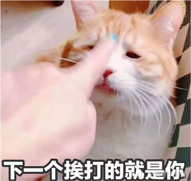 那些猫奴们你打你家主子的时候它怎么想