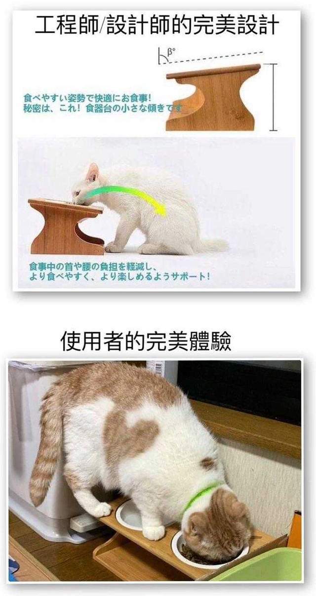 每日沙雕 为什么是老天爷而不是老天奶 女人什么时候能站起来 猫咪 弗雷萨