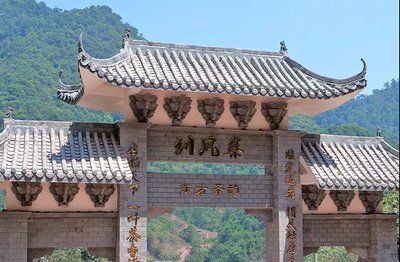 刮风寨古树茶特点和口感