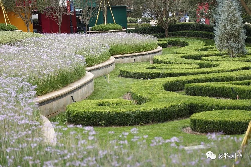 作为园林常用的造景手法,绿篱可修剪成各种造型,并能相互组合,因此有