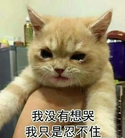 一个学期,英语成绩从70分到98分,我是怎样辅导孩子的?