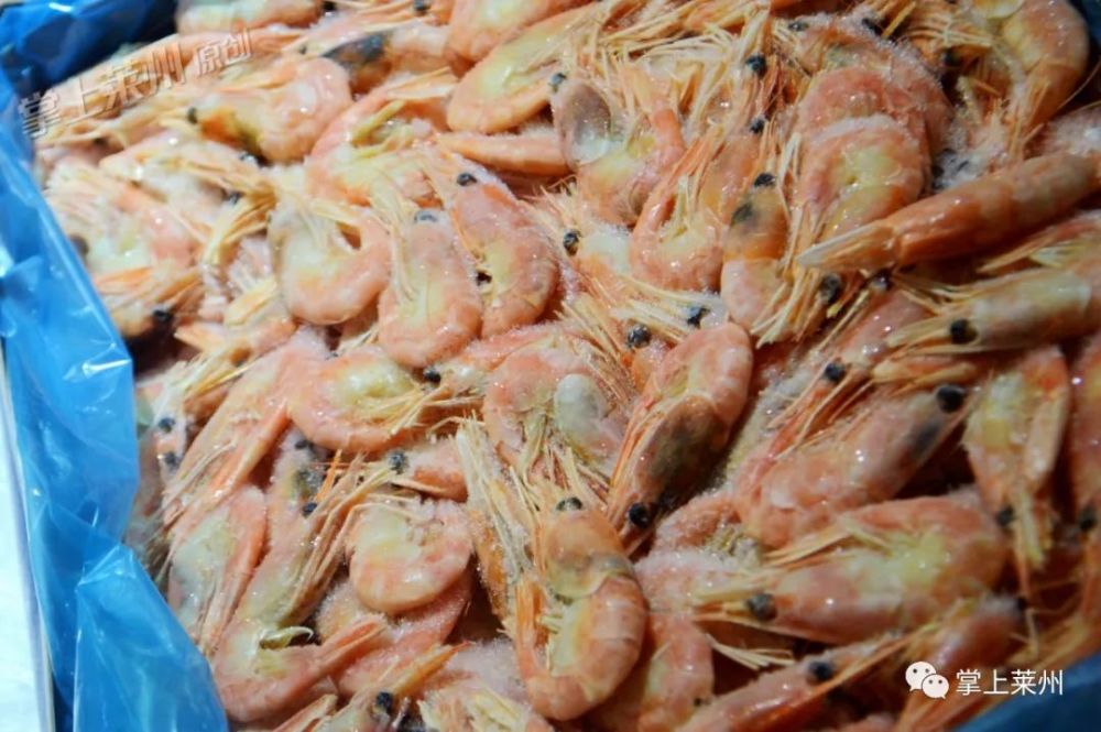 莱州第一批桃花虾上市120一斤海鲜市场人挤人