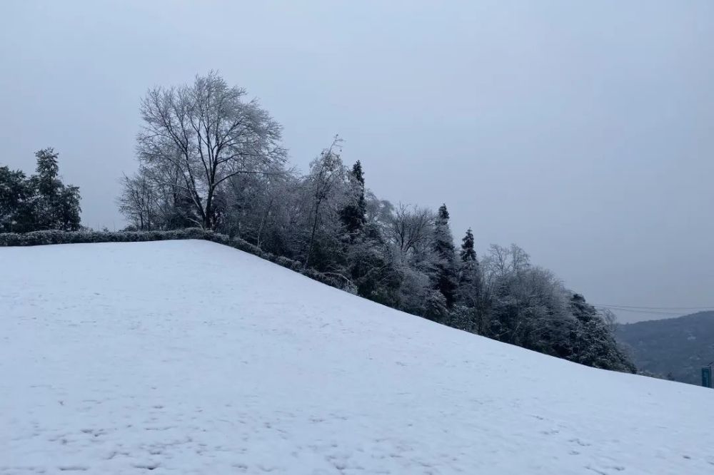 望鱼镇海子山"晚来天欲雪,能饮一杯无,雪,总能勾起人们的诗情画意.