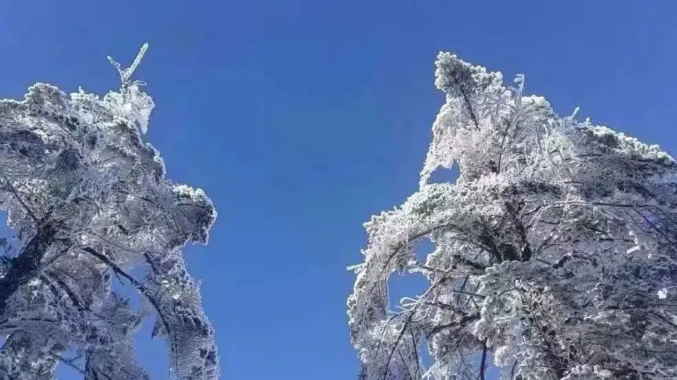 望鱼镇海子山"晚来天欲雪,能饮一杯无,雪,总能勾起人们的诗情画意.