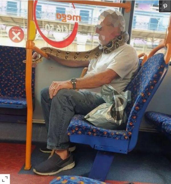 外媒盘点2020年奇葩事:"扔"孩子上学,把蟒蛇当"口罩"