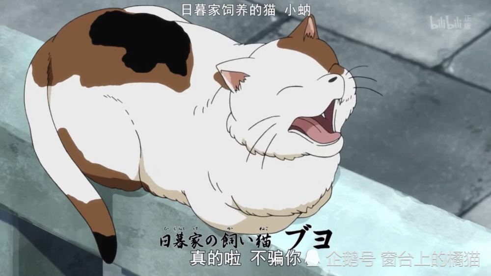 杀生丸看到女儿 为何不出来相认 半妖夜叉姬 第四集图文解析 腾讯新闻