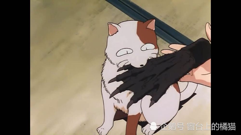 杀生丸看到女儿 为何不出来相认 半妖夜叉姬 第四集图文解析 腾讯新闻