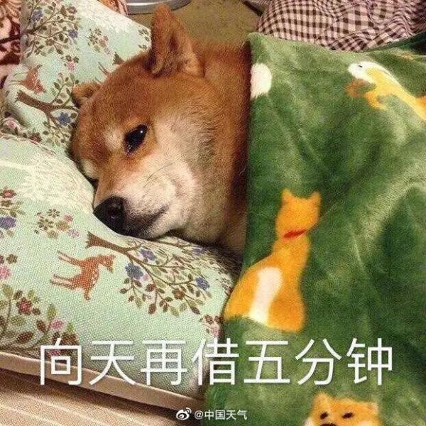 春天般的温暖,唯一能打扰你睡眠的可能就是蚊子了,起床更是轻松无压力