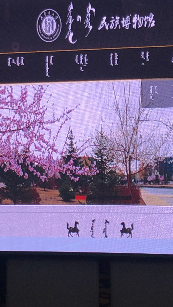 内蒙古大学民族博物馆数字化平台上线