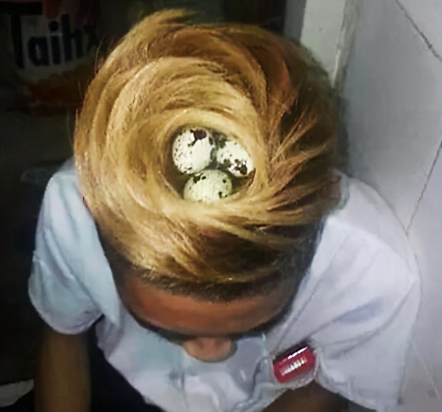 冲天辫高一米奇葩搞笑发型网友走在路上绝对吸引眼球