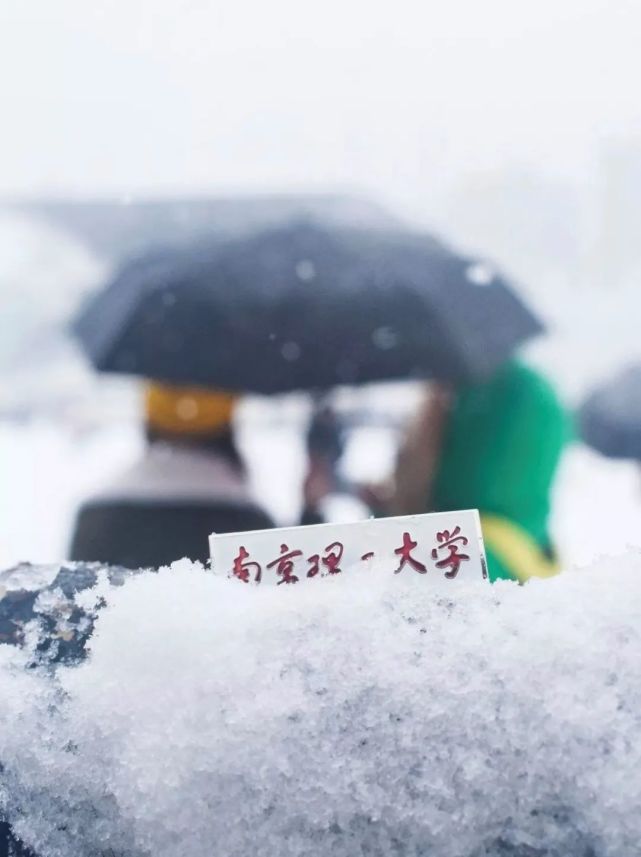 你的理想大學壁紙請查收你再不來我要下雪了