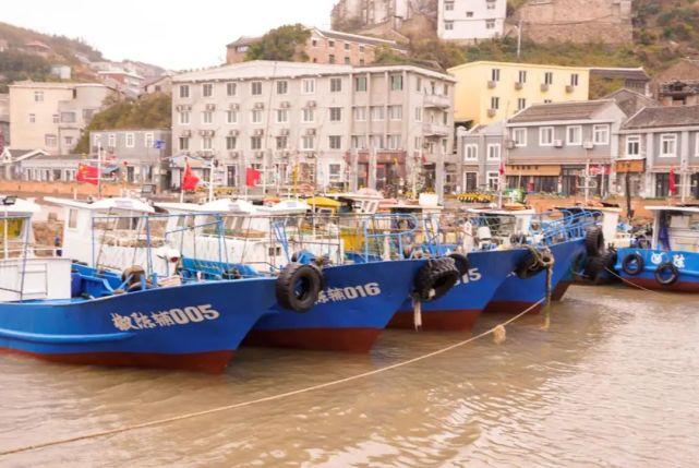 这次去的是人口最多的下大陈岛,据说岛上居民大约4000多人.