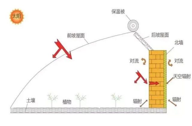 至今為止,日光溫室的牆體經歷的土牆結構牆體,磚牆結