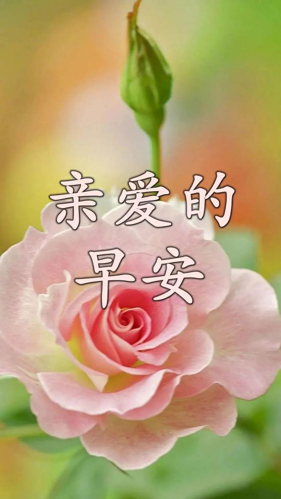 周四冬天微信早安好冬天暖心图片温馨的清晨好问候心语