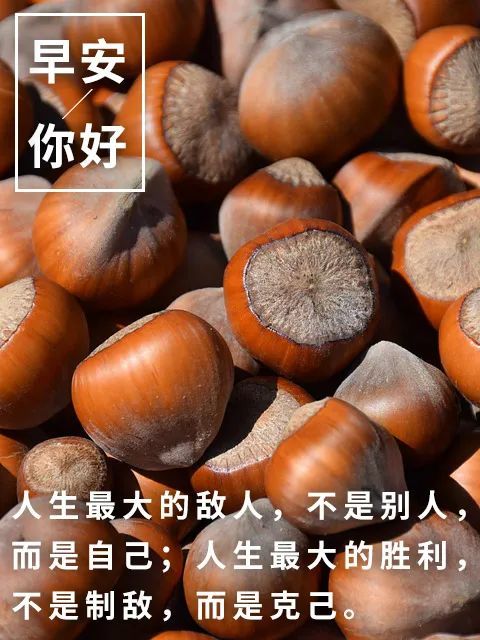 一句话精致早安『一句话精致早安发朋友圈』