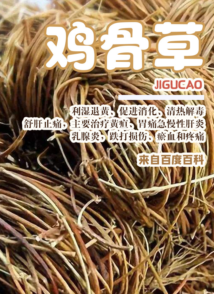 鸡骨草龙骨汤清肠胃祛湿热养肝护肝肝部闹情绪就不要错过这个汤
