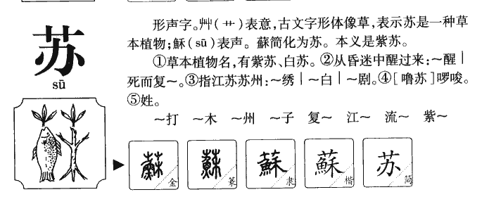 10个温雅含蓄的带苏字女宝名字 个个悦耳动听 腾讯新闻