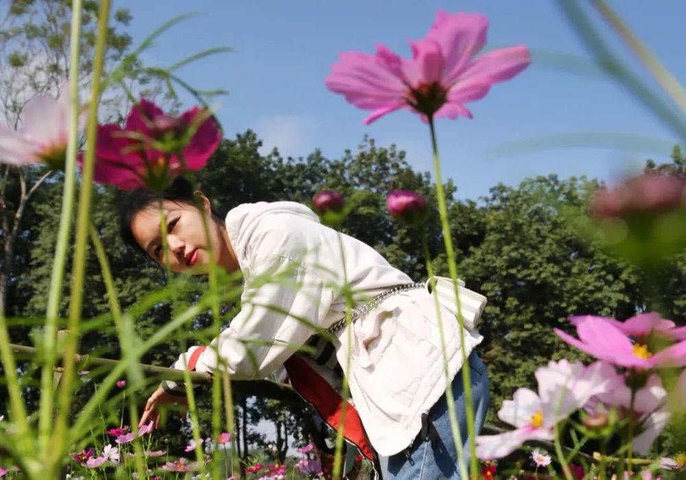 格桑花擺出萌萌的姿勢無敵可愛美少女就是你啦還可以互相拍個小視頻在