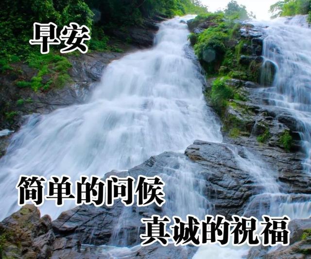 早安心语人因不习而散茶因不饮而凉