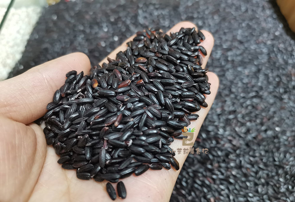 黑米也有假的营养差别大粮店老板教我4招买黑米别被骗