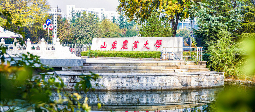 山东农业大学经济管理学院(商学院)有着非常成功的经验.