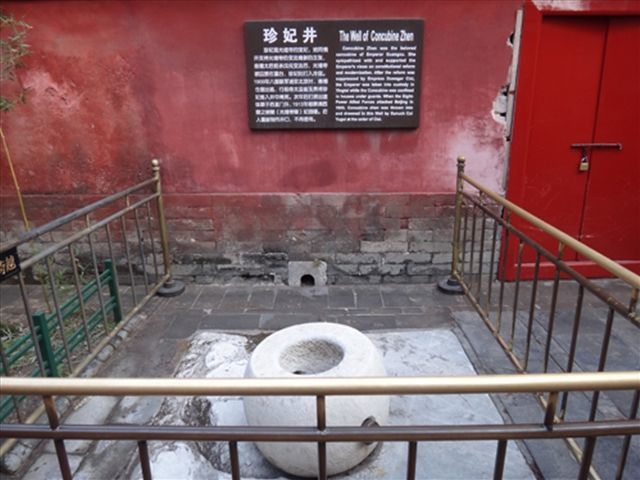 珍妃井不足以十尺,珍妃是怎么被塞进井中的呢?