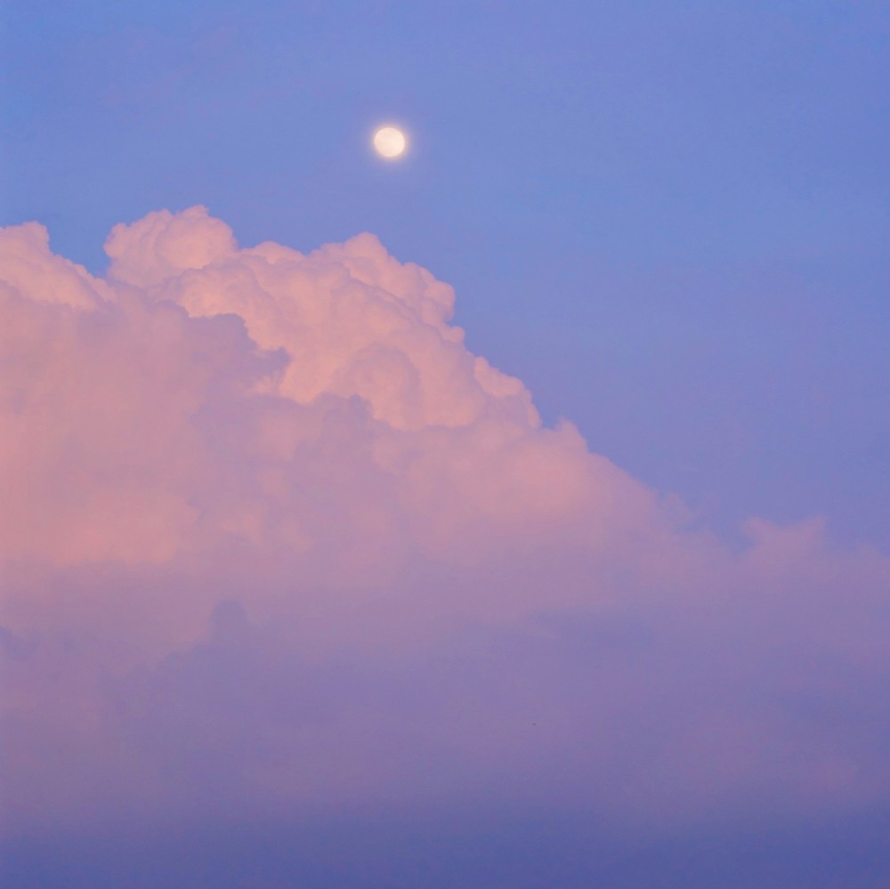 神仙颜值丨jennie头像背景图合集