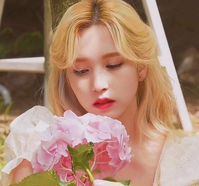 名井南太低调 美国出生的日本财阀 屈尊 加入韩团twice 韩团 名井南 日本 娱乐