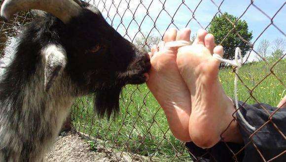 史上最诡异酷刑,只需要半小时,就能让犯人在痛苦中快乐的死去