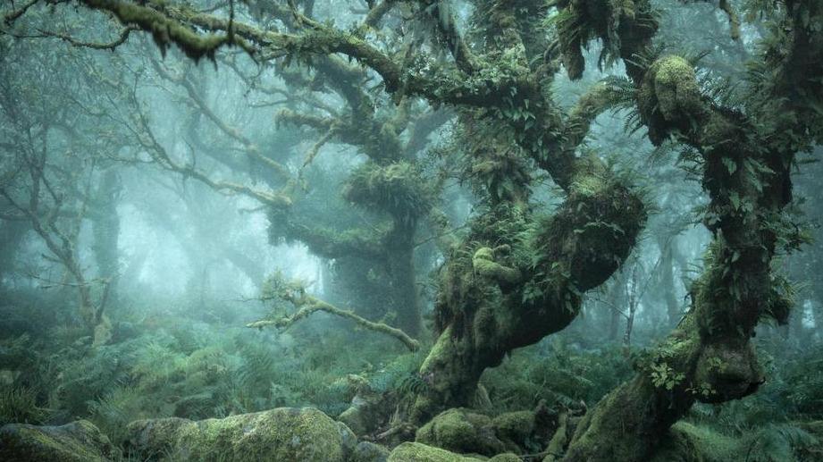 四川迷魂凼:深山里的"黄泉路",被封为禁地数百年_腾讯新闻