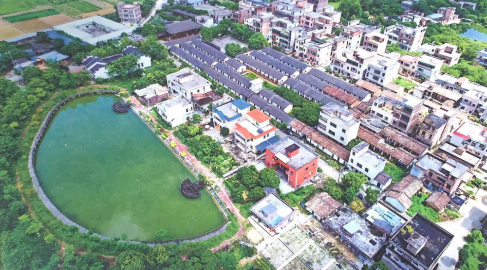太美了从化这条村抢抓乡村振兴机遇全面焕发新光辉