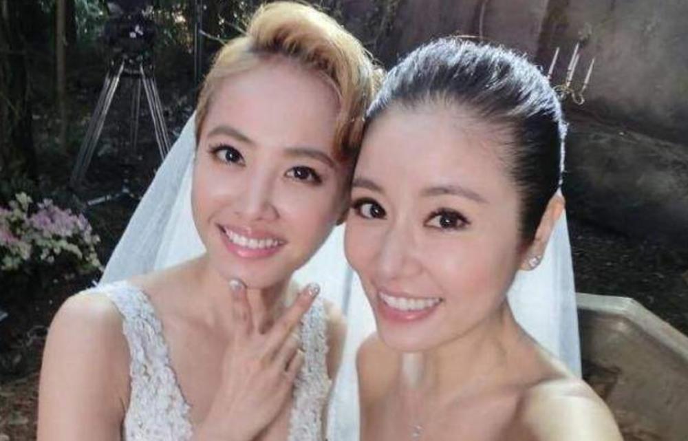 不是一家人却长得这么像,当林心如遇到蔡依林,真爱粉傻傻分不清_腾讯