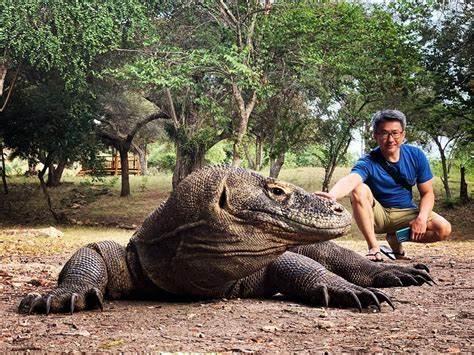 2017年5月在印度尼西亚西芒格莱,50岁龙·李·阿莱(lon lee alle)为了