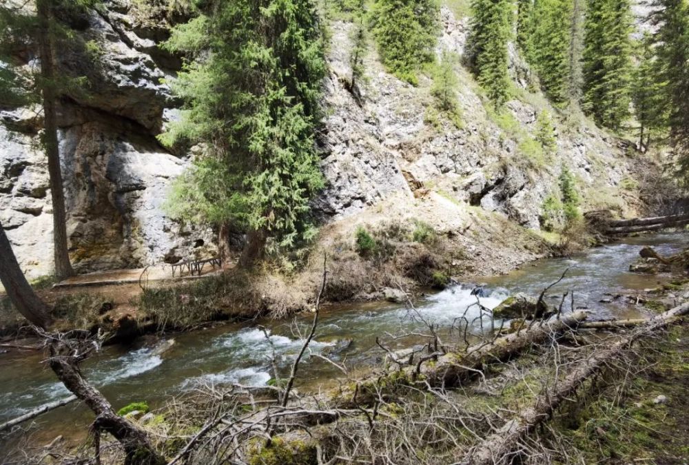 伊犁草原托乎拉苏的五媳妇沟