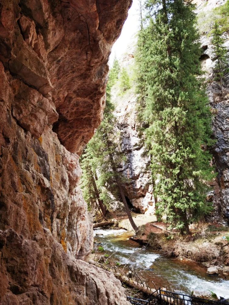 伊犁草原托乎拉苏的五媳妇沟