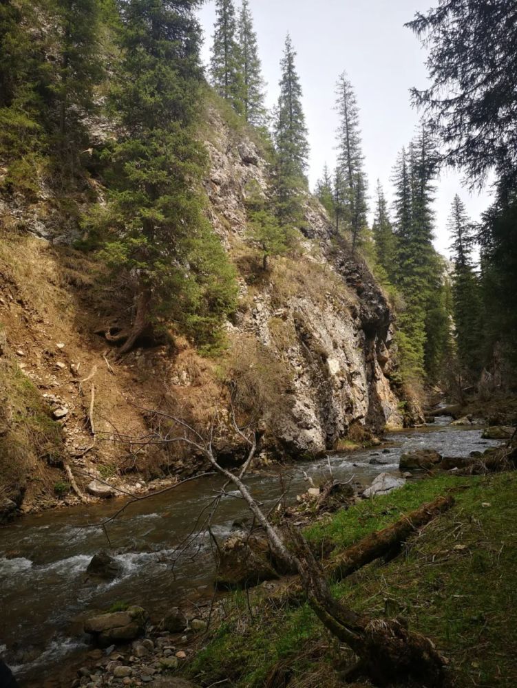 伊犁草原托乎拉苏的五媳妇沟