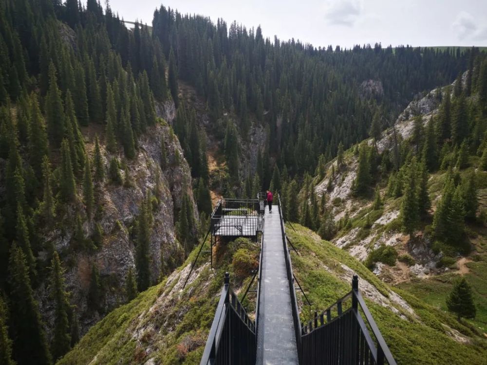 伊犁草原托乎拉苏的五媳妇沟