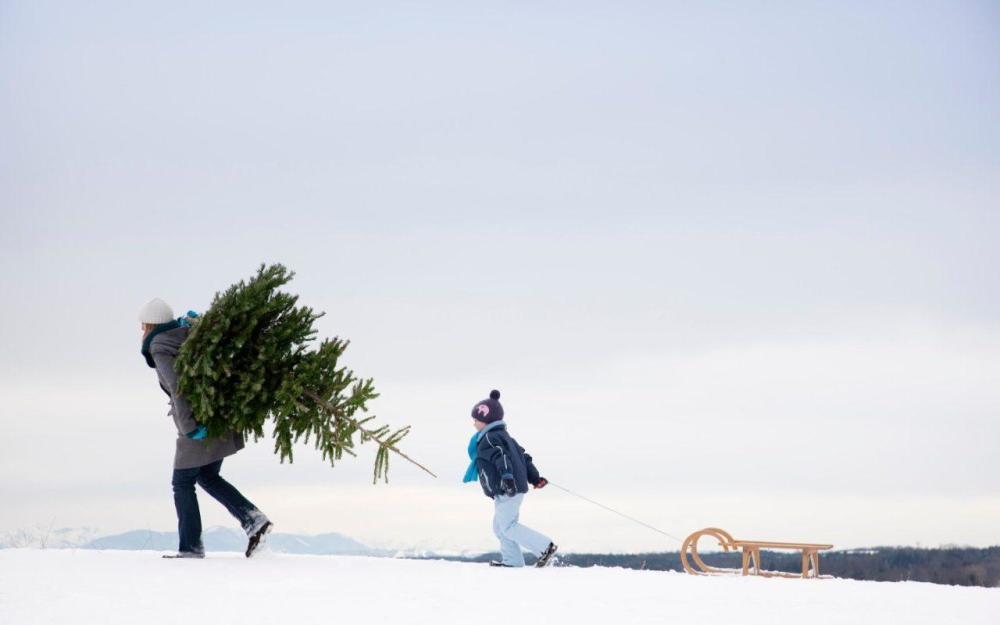 英国56年仅38次圣诞节下雪 上一次的白色浪漫还是10年 腾讯新闻