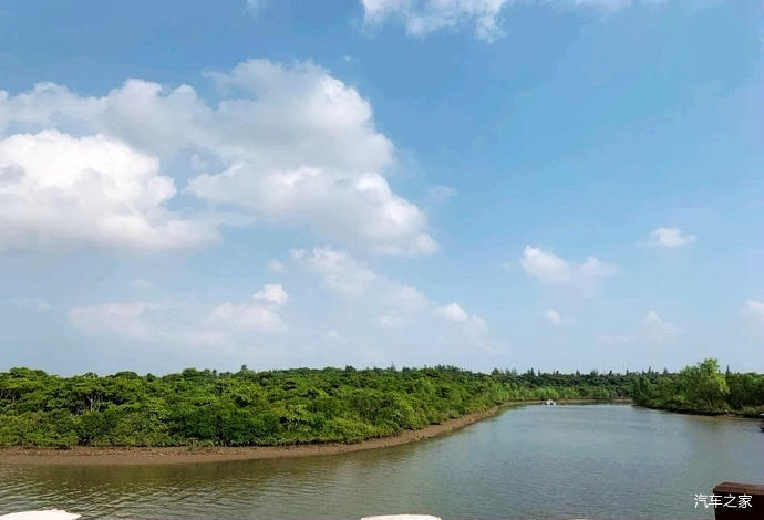 綠色氧吧,美麗環境——乘船遊東寨港紅樹林旅遊區