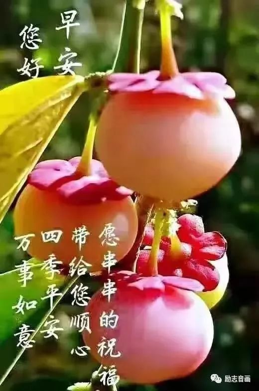12 20周日早安问候语 祝大家天天开心 腾讯新闻