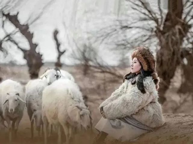 央视主持人朗诵可可托海牧羊人和养蜂女凄美的爱情
