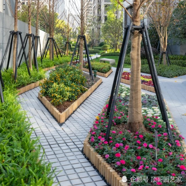 这些花园植物收边的小技巧你知道吗