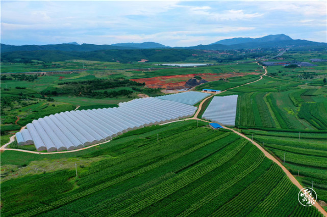 宣威:60余万亩高标准农田助力高原特色农业发展