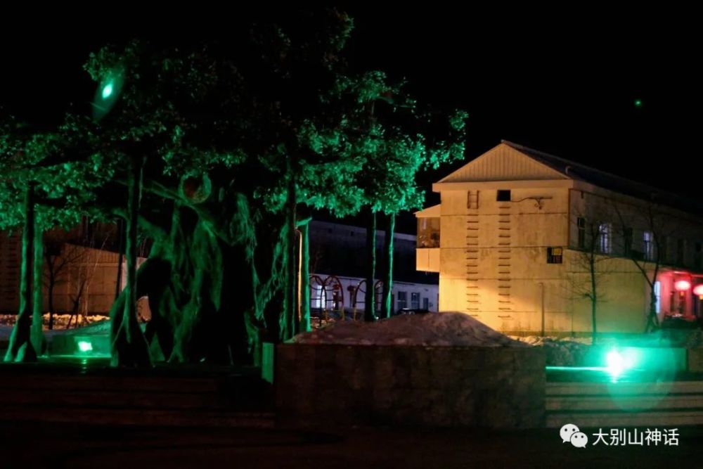 一剪寒梅:鹧鸪天～冬雪夜