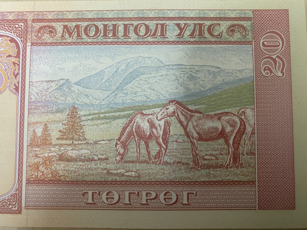 蒙古的1993年版20图格里克