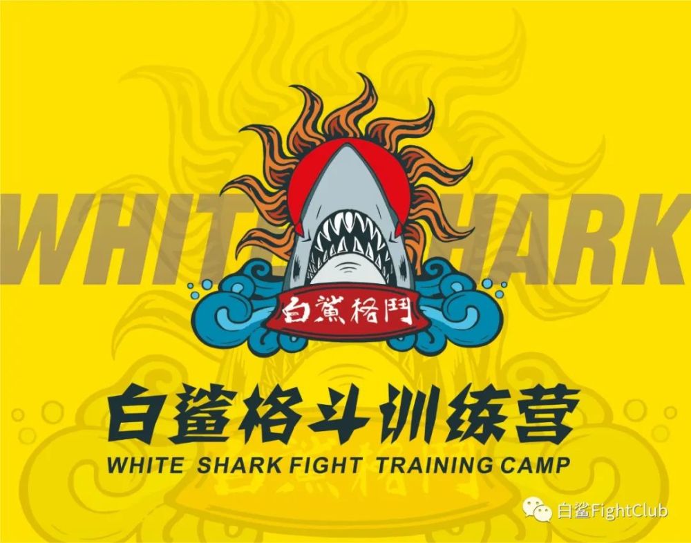 让我们共同期待,在这个发生了许多变故与感动的庚子年年底,白鲨格斗